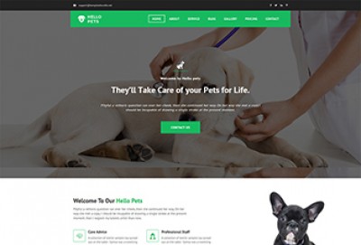 Animal and Pets Care HTML Website Template