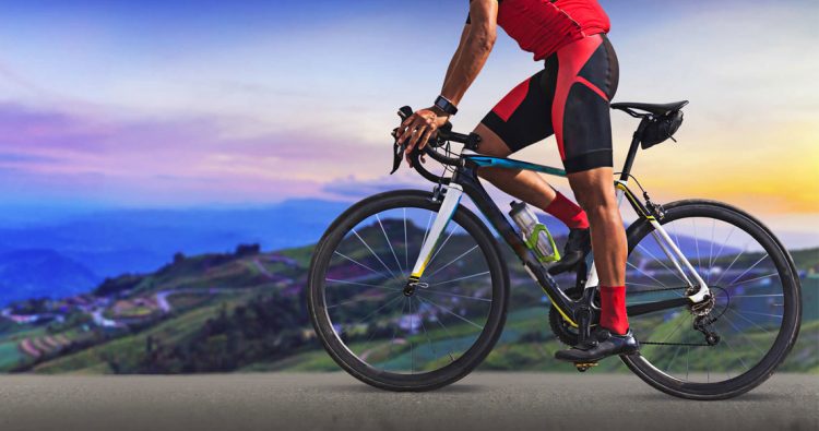 Tour de Pig 2019