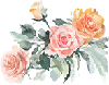 Image Missing